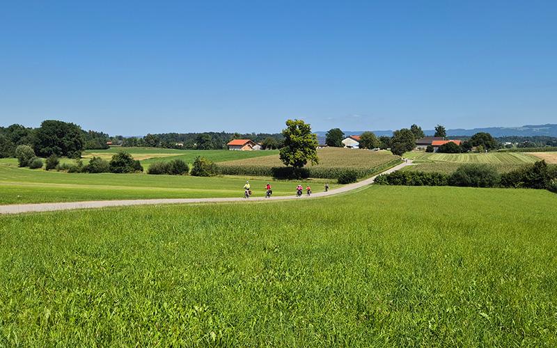 kolesarji prečijo živo zeleno polje mozartov krog